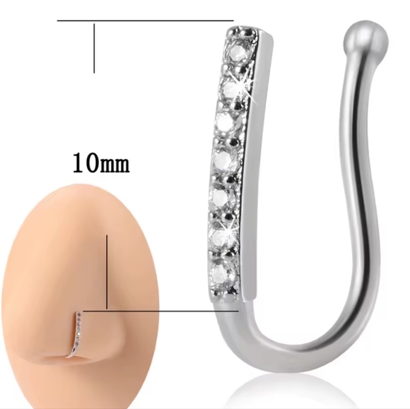 Clip On Nose Ring - Picture 1 of 10